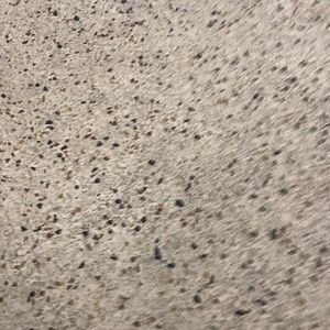 Meet your Posher, Dante